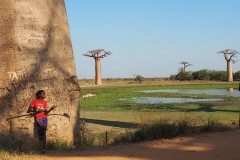 Alle de Baobab Morondave